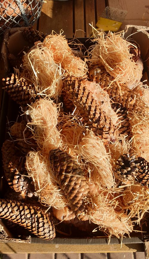 Anzündhilfen aus eigener Herstellung